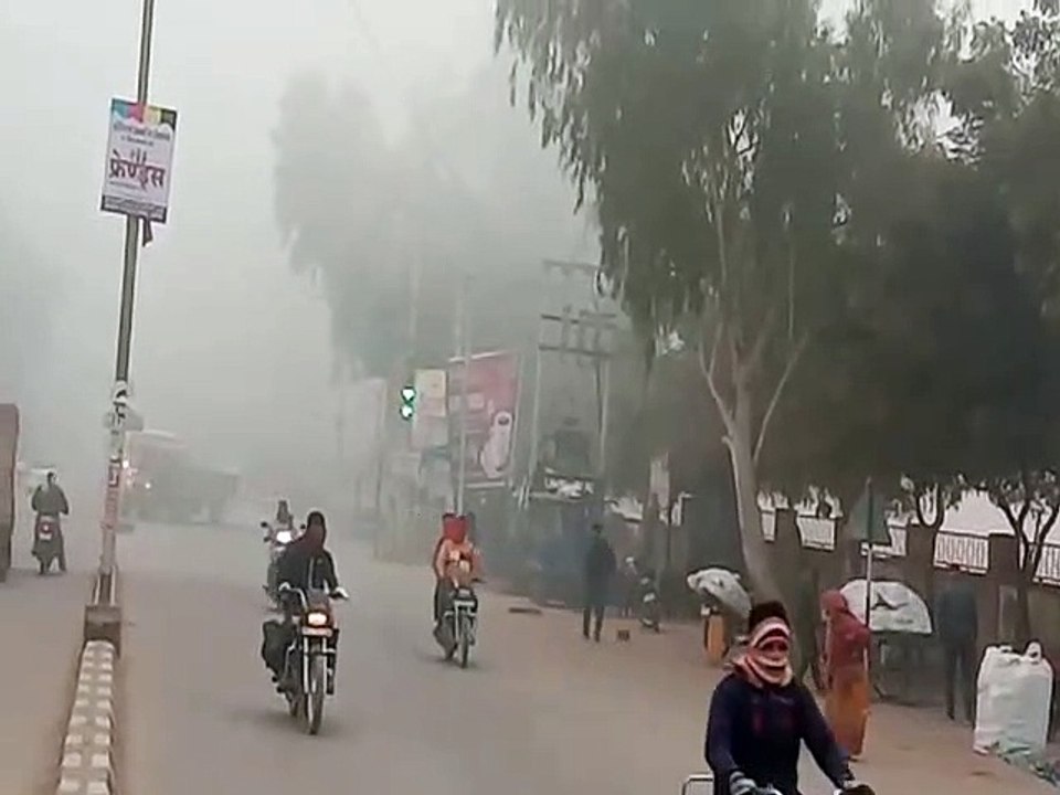 कोहरे के साथ सर्द हवाओं का असर, सब्जियों की फसल...