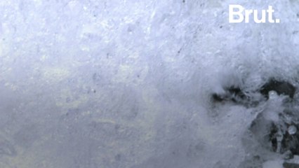 How salmon swim upstream