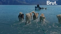 This viral photo shows the unusual ice melt in Greenland