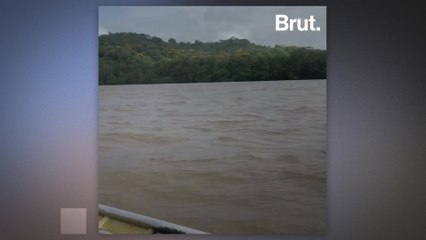 French Guiana: soldiers are fighting against gold trafficking