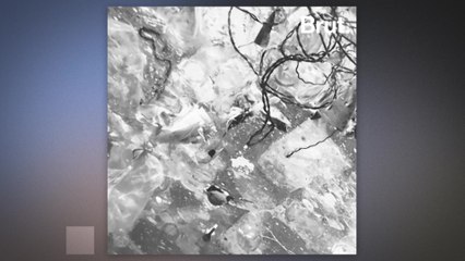 15 anti-plastic actions in 15 days