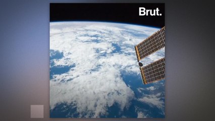 Lake Baikal is called the "Galapagos of Russia"