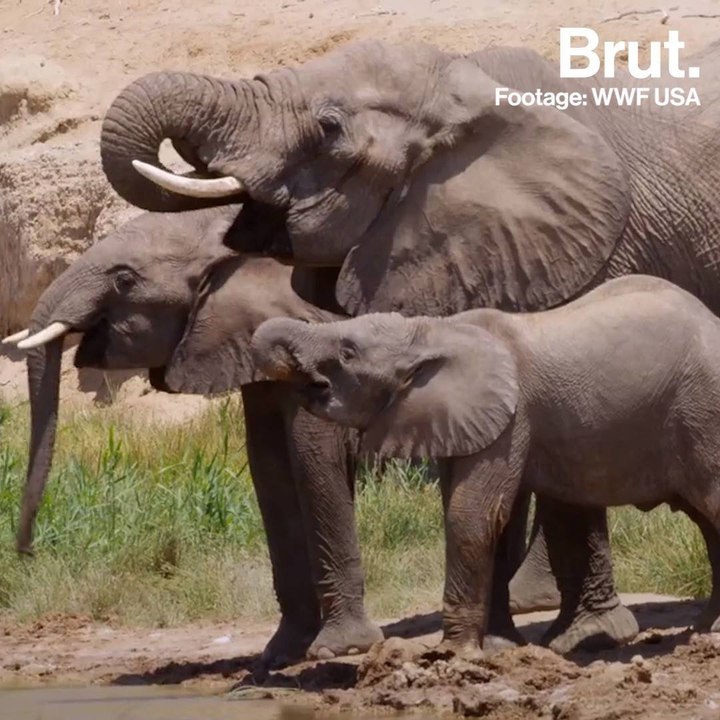 Ecotourism in Namibia