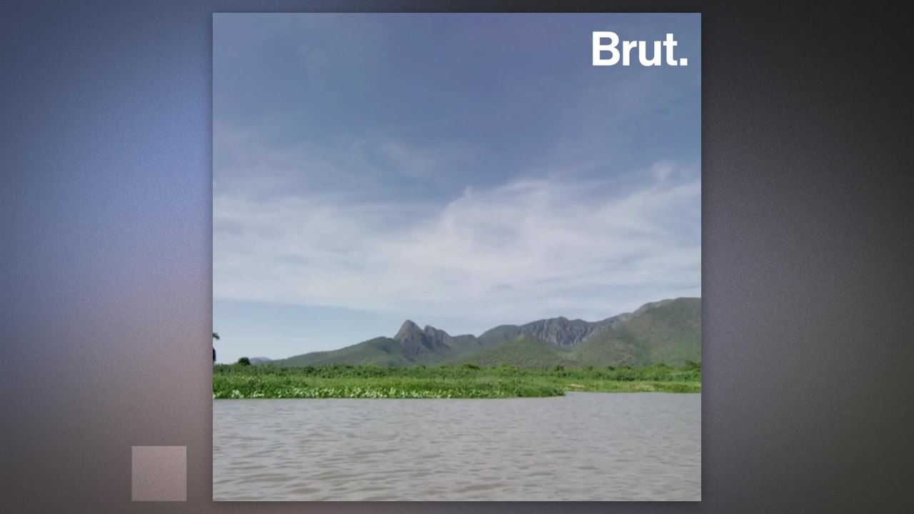 The 5 most biodiverse countries