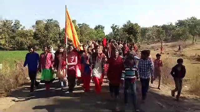 वन अमले ने किए तीन हवाई फायर