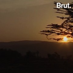 3 African environmental initiatives