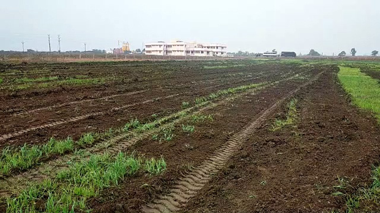 एसडीएम ने खुद जेसीबी चलाकर किया 50 बीघा जमीन को अतिक्रमण मुक्त देखें वीडियो