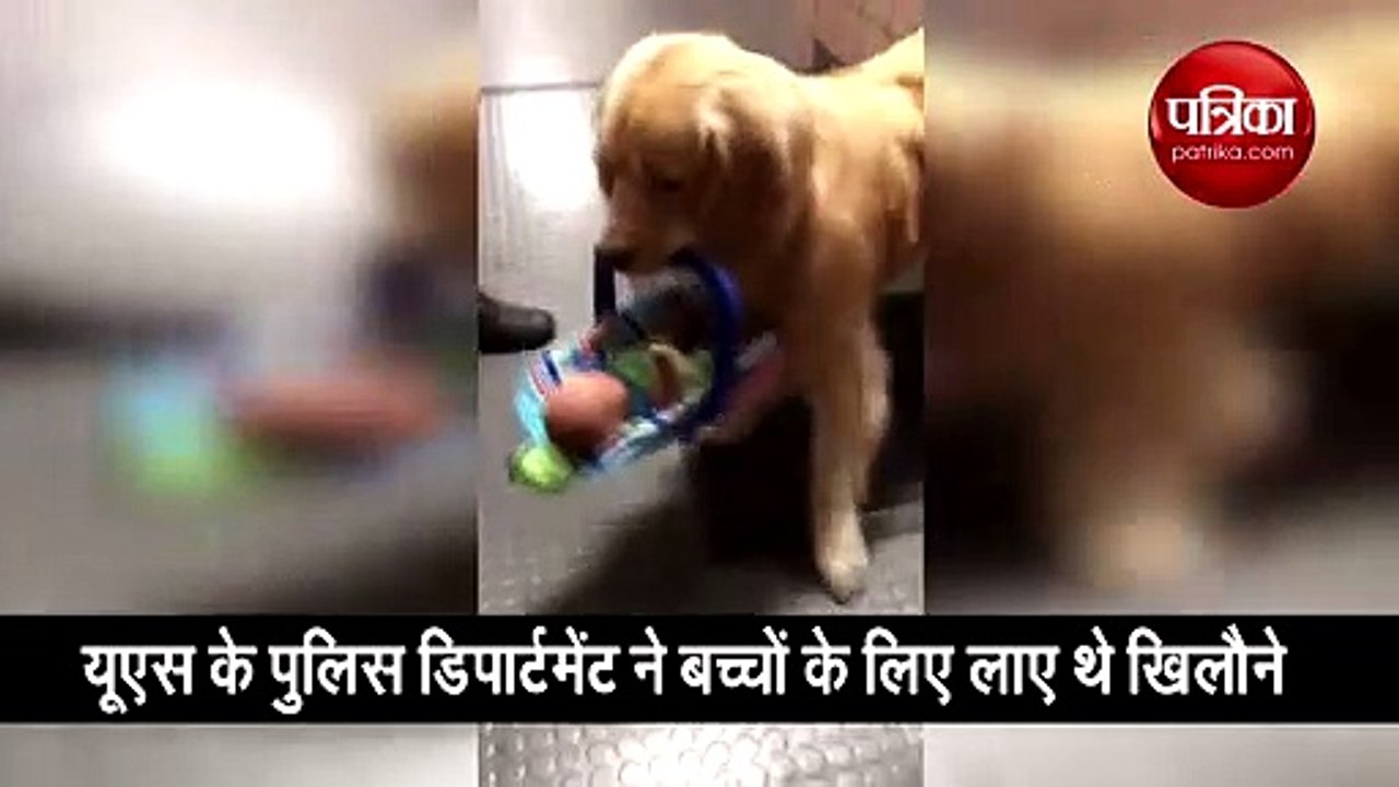 थाने के अंदर से कुत्ते ने चुराए बच्चों के खिलौने, वीडियो देख पुलिस भी हैरान