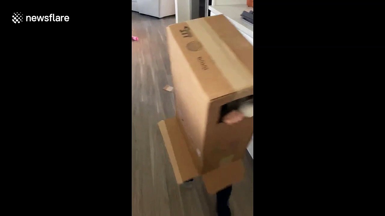 Box racer? Doctor dad is bemused as boys race around living room on days he's not on front lines of coronavirus fight