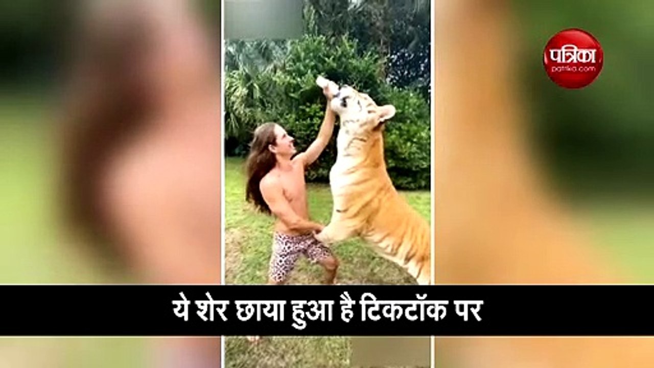 वीडियो: शेर के मुंह के अंदर हाथ डालकर शख्स ने प...