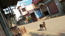 CAA Protest: Bijnor में छतों से हुआ पथराव तो ऐसे बचाई नजीबाबाद एसडीएम ने जान- Video