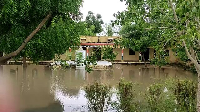 Forest Department officials put dust in the eyes of the Constitution