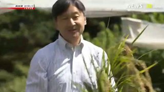 2019.09.19 - NewsLine - Naruhito harvests the first rice of his Empire