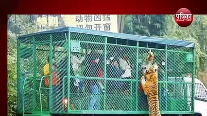 यहां पिंजरे में कैद रहते हैं इंसान