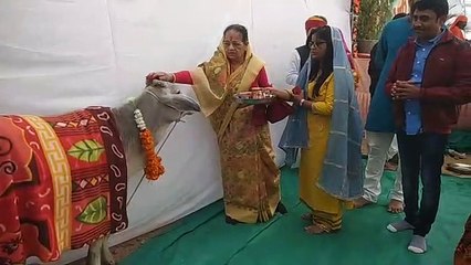 gau kripra katha at gandhi maidan in jodhpur