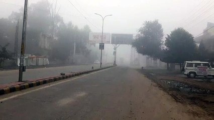 कोहरे से लिपटा रहा शहर