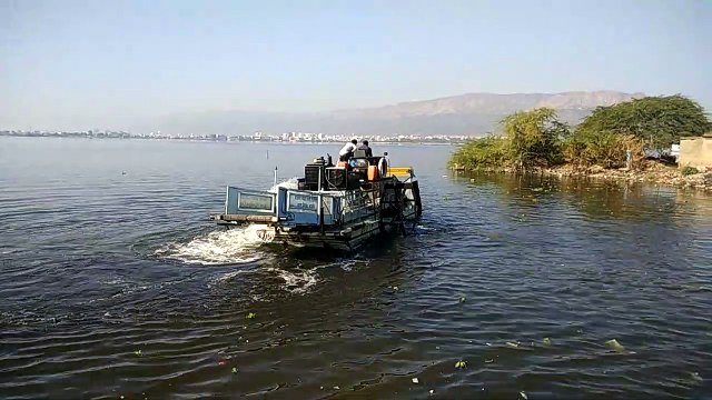 आनासागर झील को निगलने को तैयार जलकुंभी