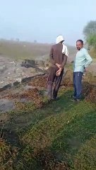 किसानों के लिए एक बार फिर मुसीबत बनी बर्फवारी