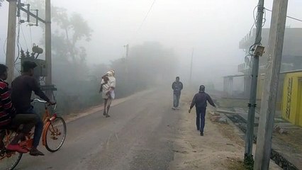 ठिठुर गया सवाईमाधोपुर जिला, बारिश के बाद छाया घना कोहरा