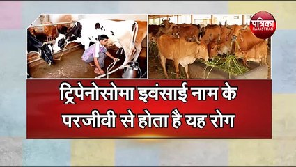 अब नहीं होगी पशुओं की इस खतरनाक बीमारी से मौत