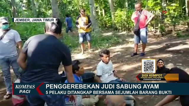 Asik Judi Sabung Ayam, Tak Berkutik Saat Digerebek Polisi