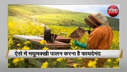 मधुमक्खी पालन से होगा डबल फायदा
