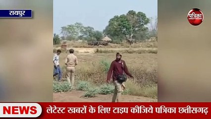 छत्तीसगढ़ में हाथियों का आतंक