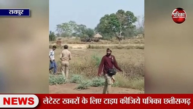 छत्तीसगढ़ में हाथियों का आतंक