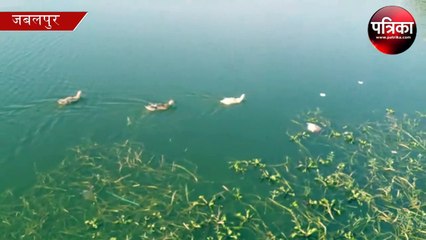 madhya pradesh weather news in hindi