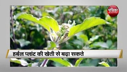 इनकम बढ़ाने के लिए कर सकते हैं ये काम