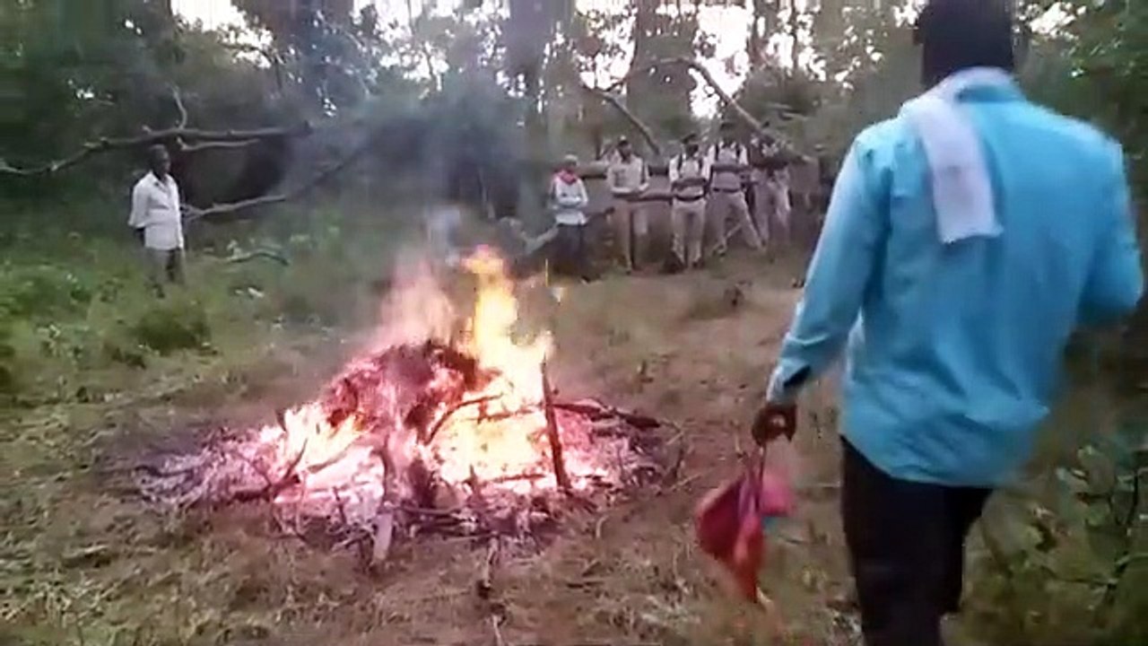 Leopard death