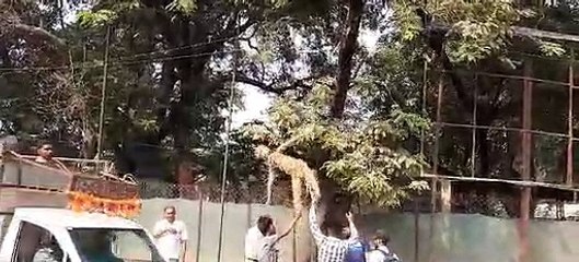 छात्राओं ने मुंह पर काली पट्टी लगाकर किया प्रदर्शन