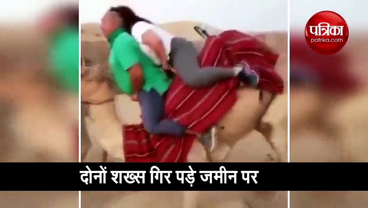 वीडियो: ऊंट नहीं उठा पाया इनका वजन, धड़ाम से गिरा नीचे