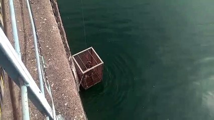 जंग लगने से जाम हुए बांध के स्लूज गेट