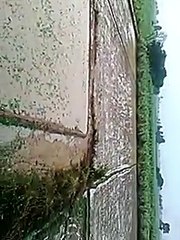 आ रही है ठंड,जल्द ही इन जिलों में होगी बारिश!