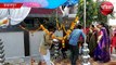 amazing cow wedding in jabalpur madhya pradesh, see wedding video