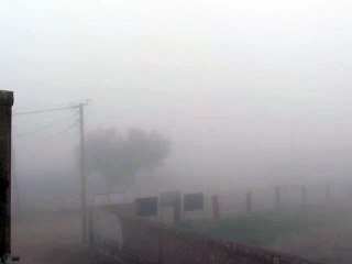 फलोदी क्षेत्र में आज घना कोहरा छाए रहने के कारण प्रवासी पक्षी भी चुग्गा लेने नही आये और विज़िबिल