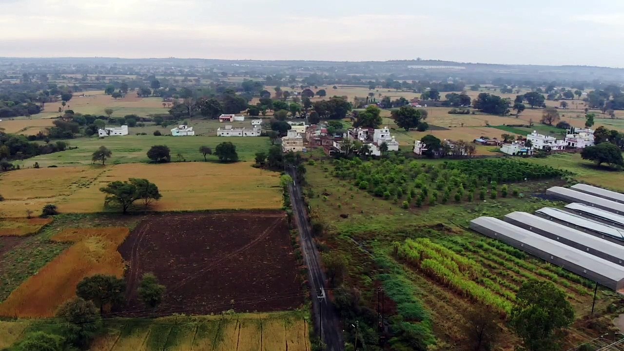 Arial View