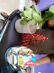 डोर टू डोर कचरा कलेक्शन