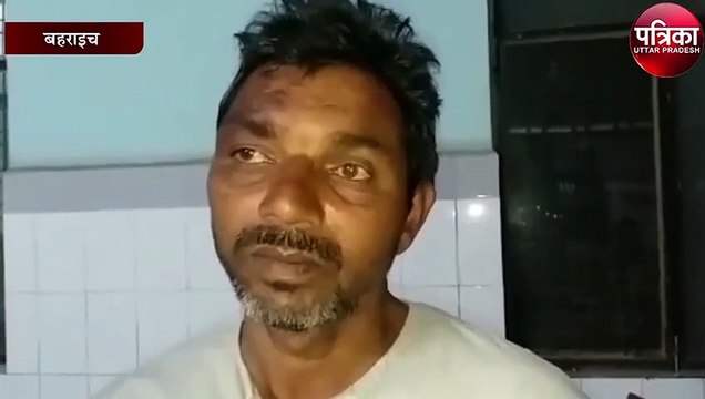 कुत्तों के झुंड ने किया ऐसा काम, देखकर आप लगेंगे डर से कांपने