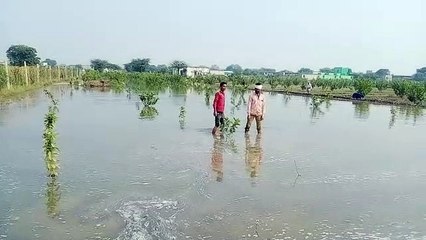 पानी ने फेरा मेहनत पर पानी