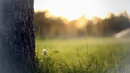 A vendre - Appartement - Jongny (1805) - 5 pièces - 151m²