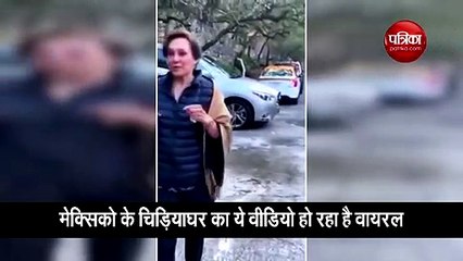 महिला के ऊपर चढ़ गया भालू, लेकिन उसके बाद हुआ ऐसा.... देखिए वीडियो