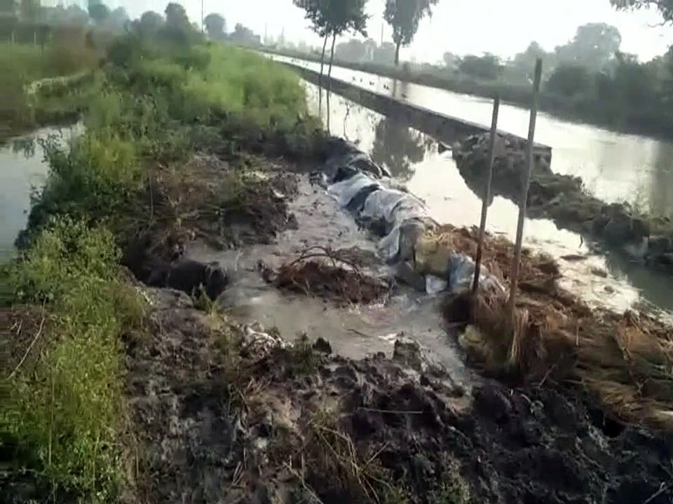नहर में हुआ रिसाव,खेतों में भरा पानी