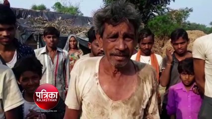 बेकाबू भैंसे ने मचाया आतंक