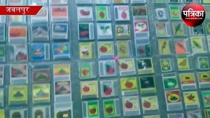 wonder of world: world's smallest coin in india