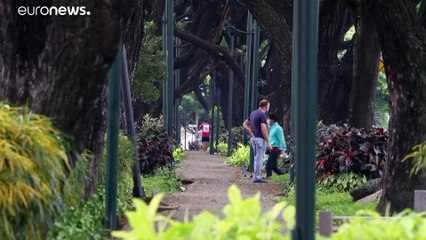 COVID-19 | ¿Cuál es la verdadera magnitud de la pandemia en Ecuador?