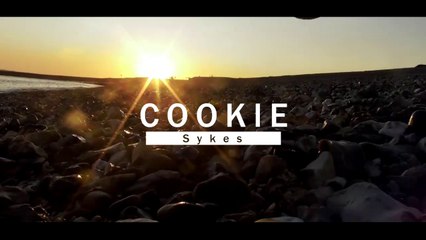 Cookie Sykes Goes to the Beach