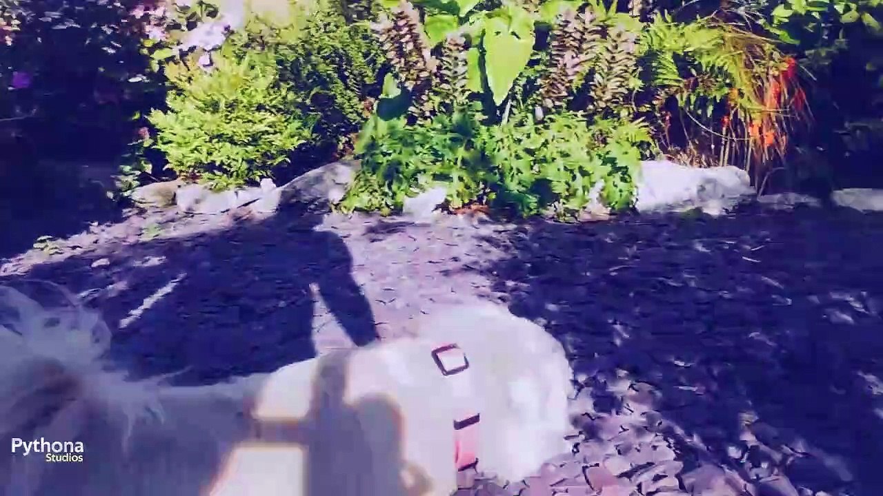 Cookie Sykes Goes to meet Sophie.