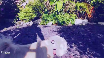 Cookie Sykes Goes to meet Sophie.